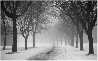 Foggy path:  the vanishing point.