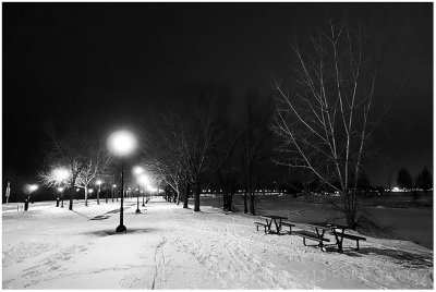 Night in the park.