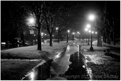 Rainy night in the park.