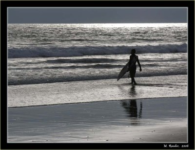 Surfing the Californian Ocean