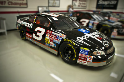 The Intimidator