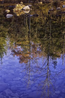 November Reflection at Buffalo National River