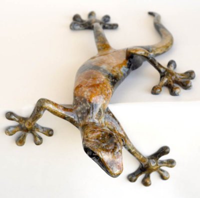 gecko9LR.jpg
