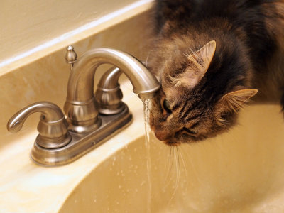 P2175012 - Cool Water.jpg