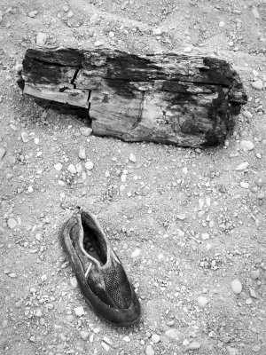 P3142977 - Lost and Found.jpg
