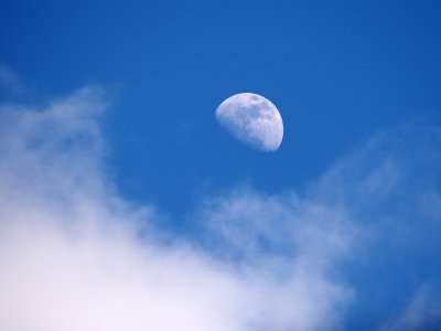 P3217818 - Backyard Moon.jpg