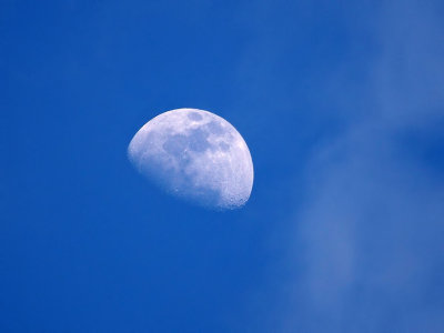 P3217825 - Backyard Moon Close Up.jpg