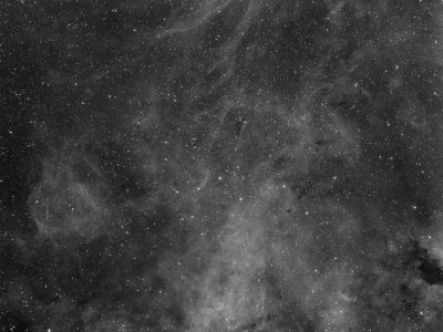 IC1311 y nubes de los alrededores