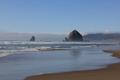 IMG_9779.jpg