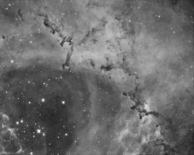 Rosette Nebula, 2013