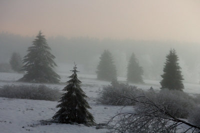 Champ du Feu, Vosges