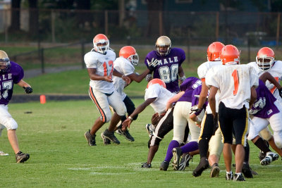 IMG_9094 copy.jpg