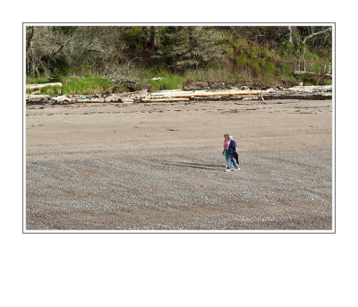 Lone Walkers on the Beach