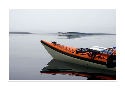 Kayaking in the Johnstone Strait