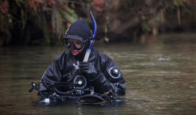 Underwater Salmon Photography