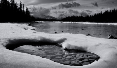 Along The Athabasca River Near Jasper <br> (Canada1_042013_765-2.jpg)
