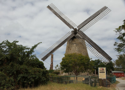 There is a lot to see and do in Barbados.  This is the Morgan Lewis windmill/sugar plantation.