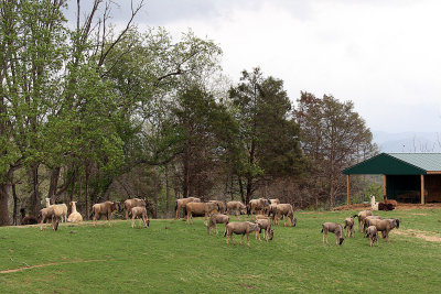 g2/20/470720/3/149878837.ctbUZlo3.jpg