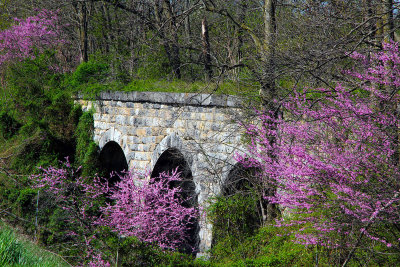 I went out exploring: redbuds and aqueduct off I-81 south of Staunton