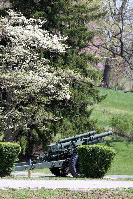 The cannon