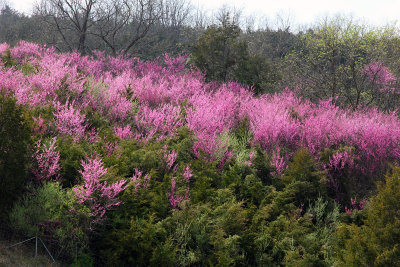 The valley was ablaze with color.