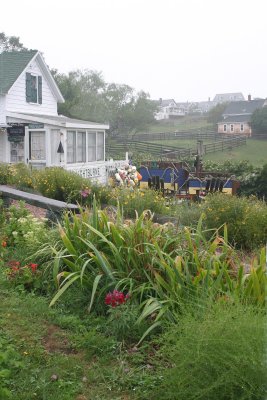 A typical Block Island view