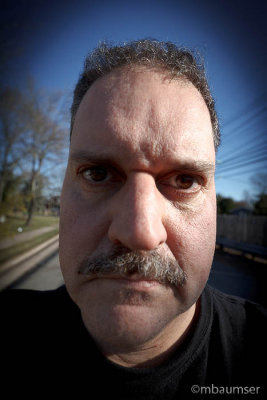 Self Portrait