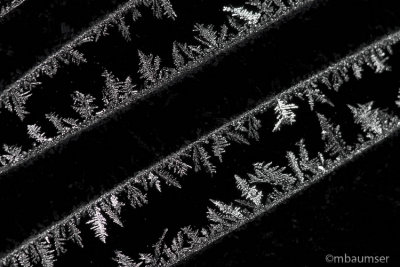 Frost Lines