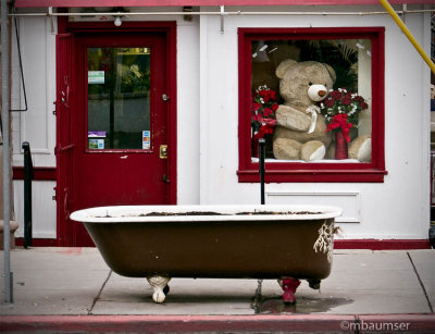 Bear Necessity