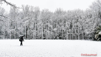 Walking In The Snow