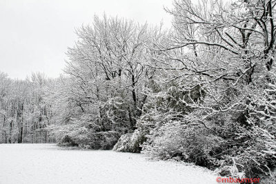 Polansky Park Edison NJ In The Snow 37304
