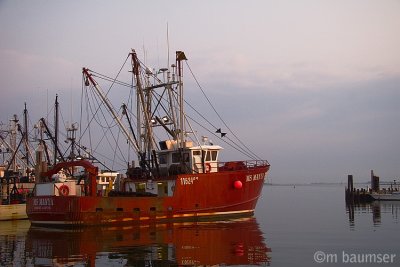 Fishing boats 3833