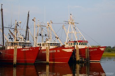 Fishing boats 3851