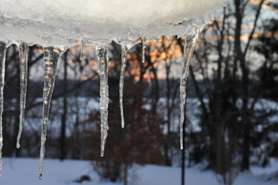 Icicles at our back window