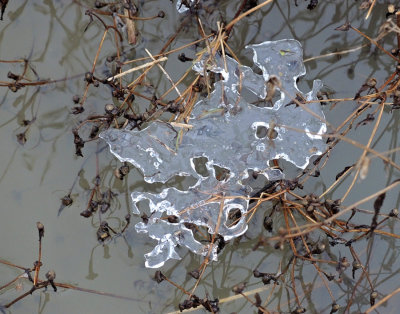 Leftover ice from the receding water