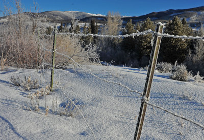 Frosty Barb-Wire Fence