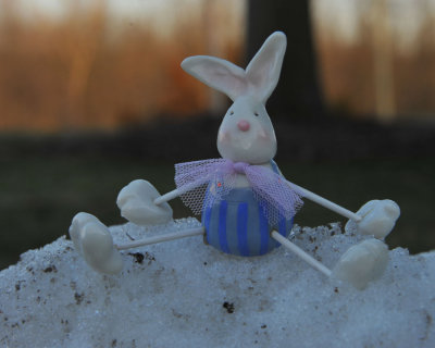 April Fools Joke on the Bunny.  Last of the snow