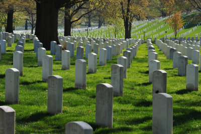 Morning in Arlington Cemeterey