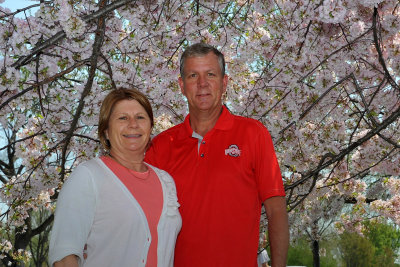 38th Wedding Anniversary, Under the Cherry Trees