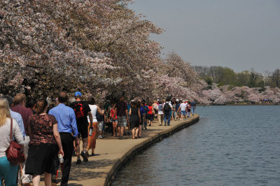 Crowds along the Tidal Pool