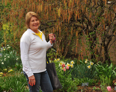 Flowers along the National Mall