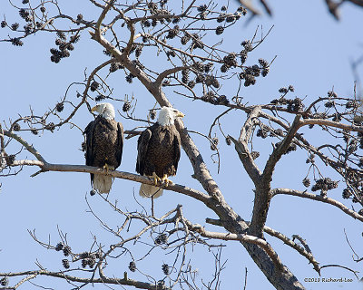 _MG_0160 The Parents.jpg