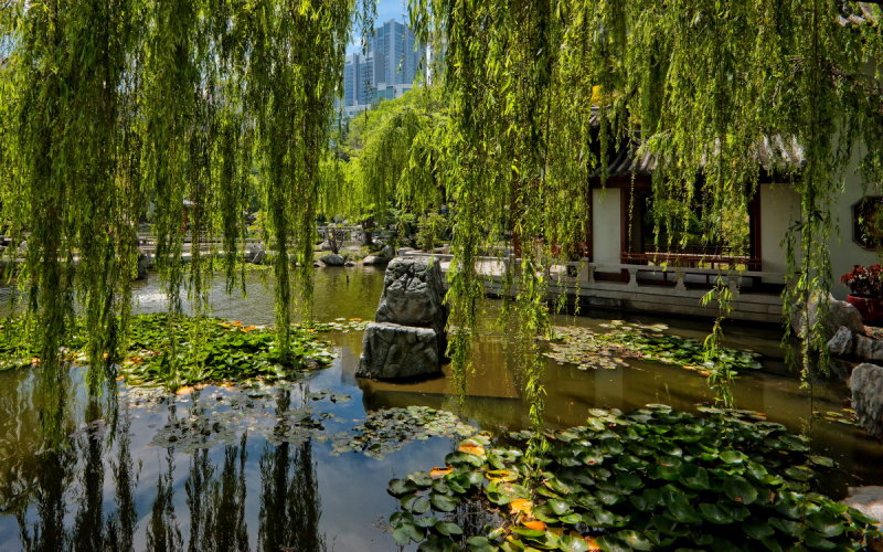 Chinese Garden of Friendship Sydney IMG_5618.jpg