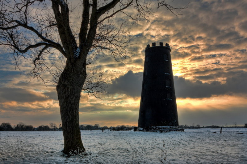 Beverley Westwood IMG_8428.jpg