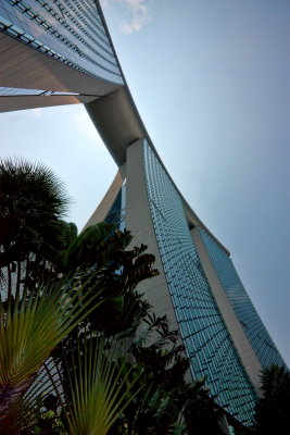 Singapore IMG_3156.jpg