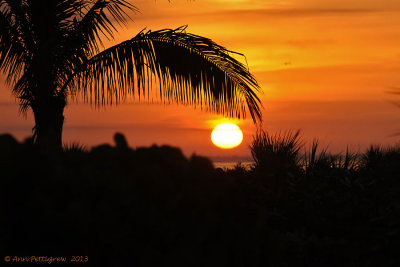 Captiva-Sunset---4430.jpg