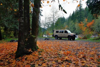 Leaves and van, Nooksack River, near Glacier, WA