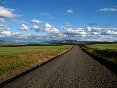 Beautiful afternoon light along Montgomery Ridge road on the way to Fields Spring State Park, OR.