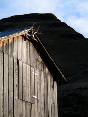 Antlers hung from a barn, Dug Bar, Hells Canyon.