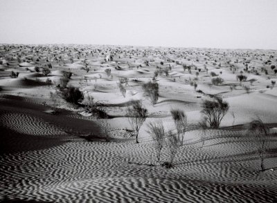Sahara 2012